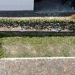 Dueolivi - Appartamento Blue
